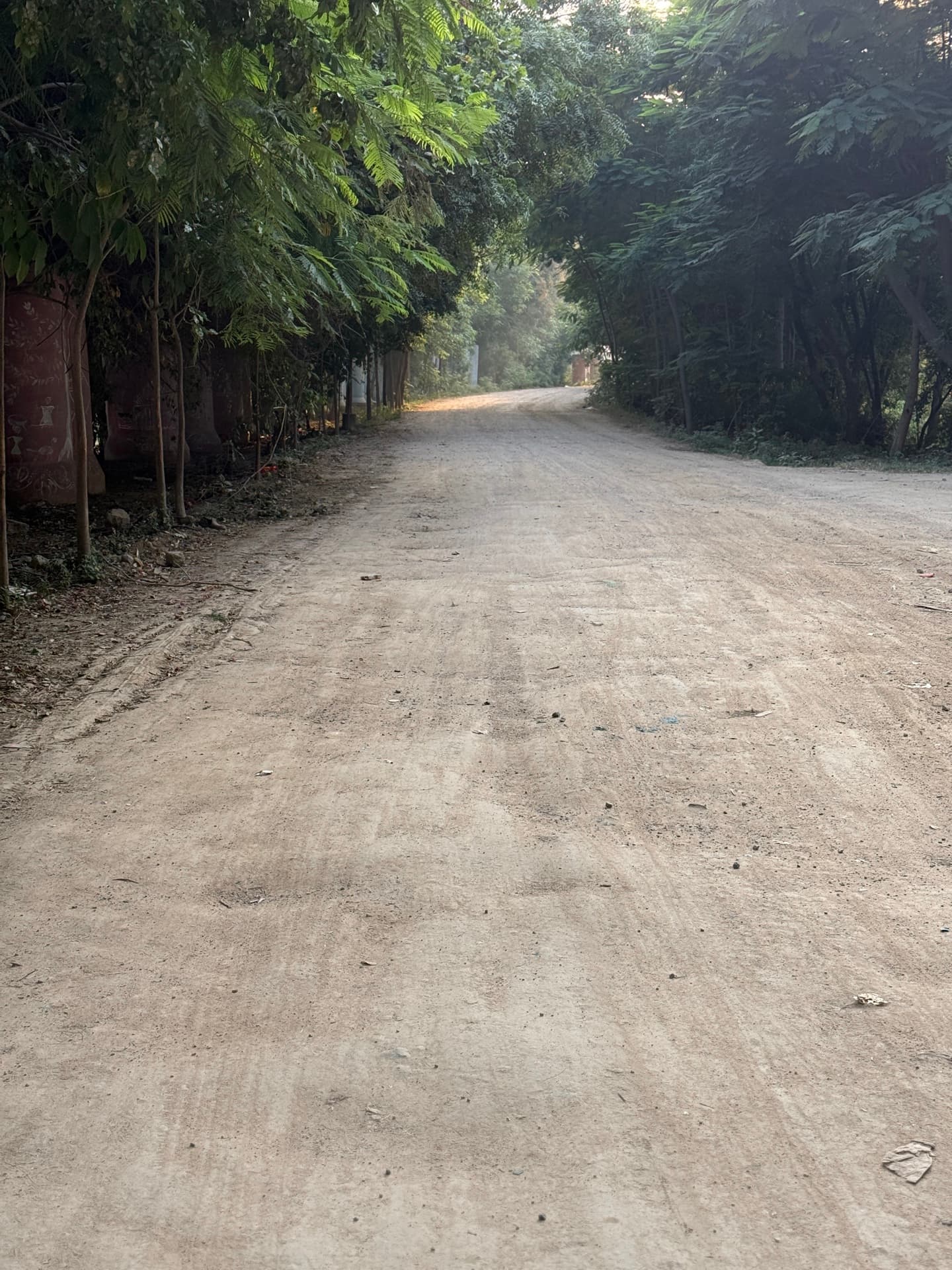 Neknampur Lake Trail, shared by a dog parent