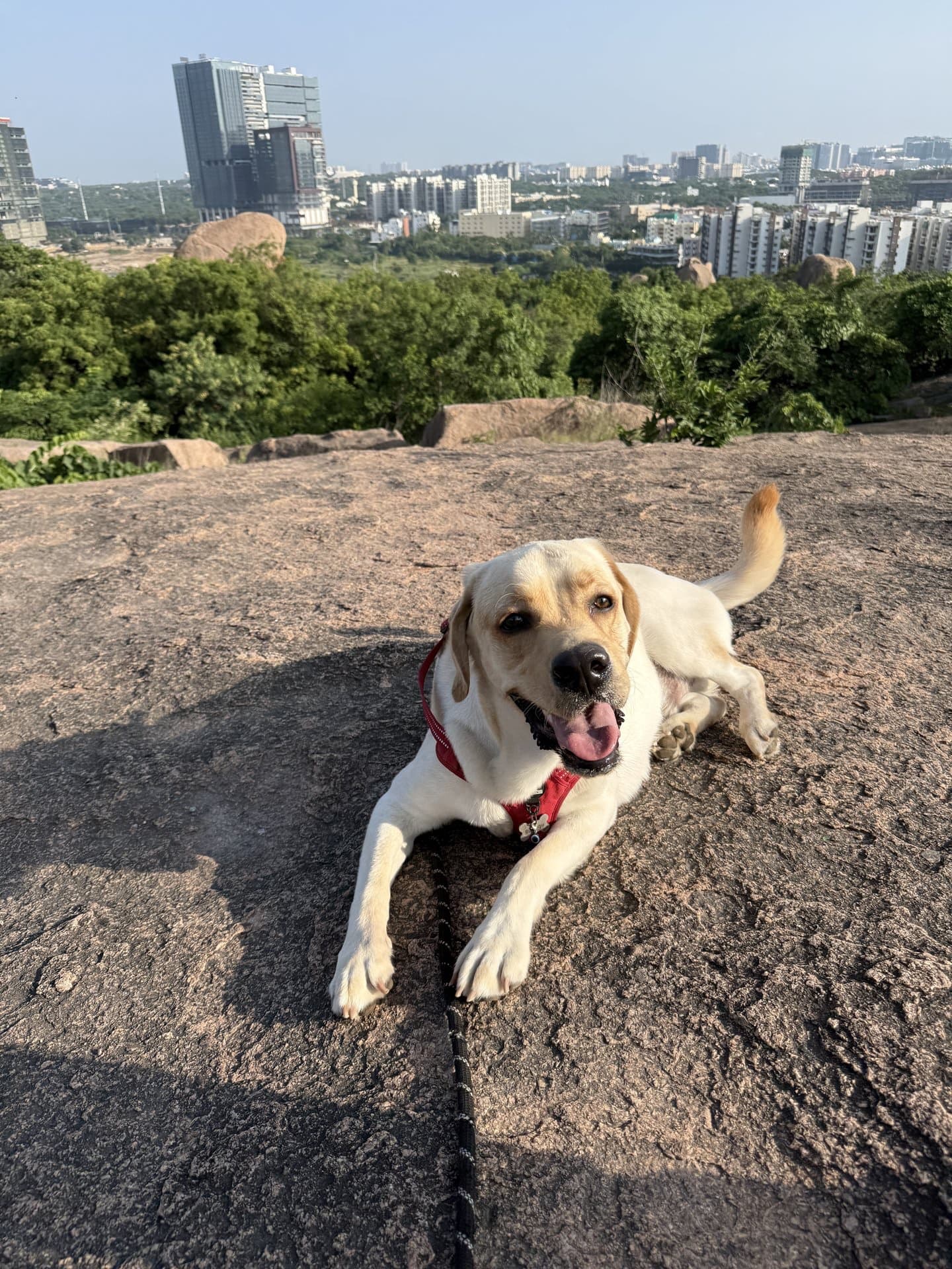 Khajaguda Hills - Lake View, shared by a dog parent